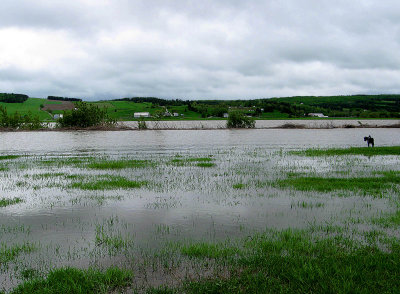 Flooding in the Beauce