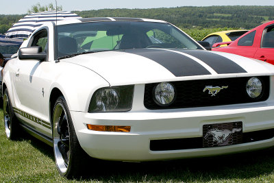 g9/50/291550/3/151368571.Z7KXjuaQ.jpg
