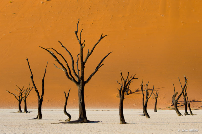 Namibia 2014