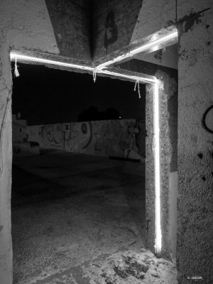 _1040720.jpg