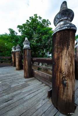 Canon_EOS_1D_X_20130720_103102_1DX-4573.jpg