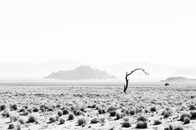 Sosssvlei - 1DX_0848.jpg