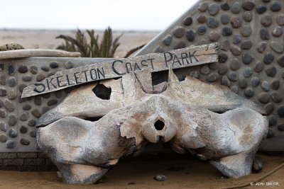 Skeleton Coast - 1DX_2017.jpg