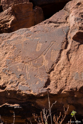 Twyfelfontein - 1DX_2553.jpg