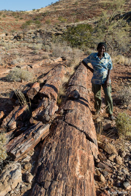 Petrified trees - 1DX_2708.jpg