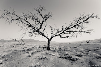Landscapes