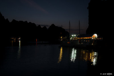 _DX_8118 2.jpg