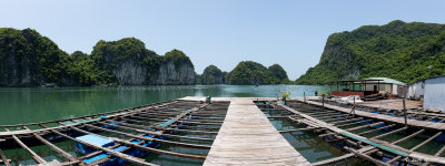 _DX_8375 2-Pano.jpg