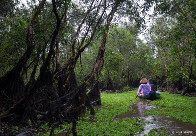  Tra Su cajuput forest & Cham village