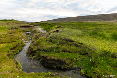 Kverkjokull > Laugavellir