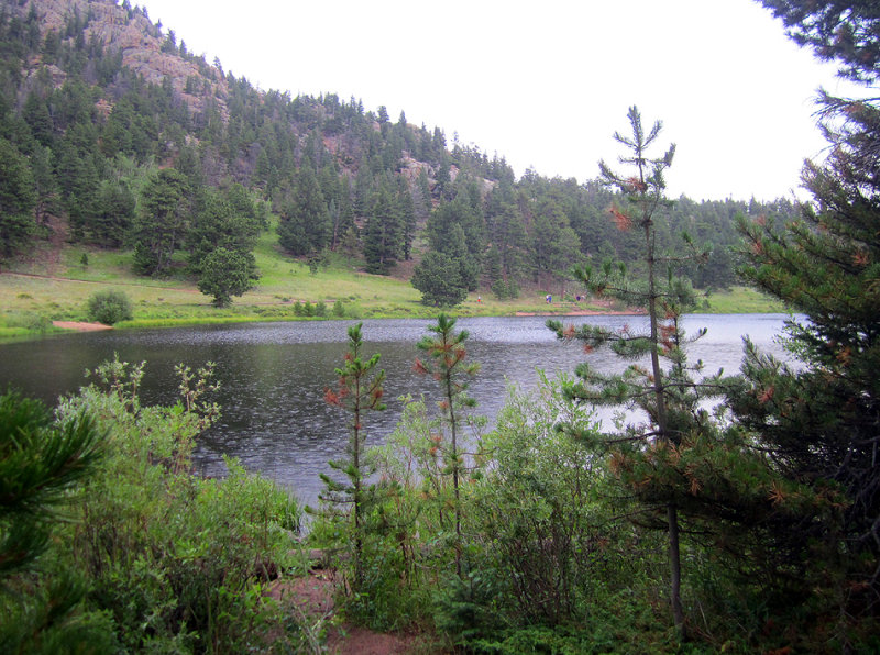IMG_1351.jpg