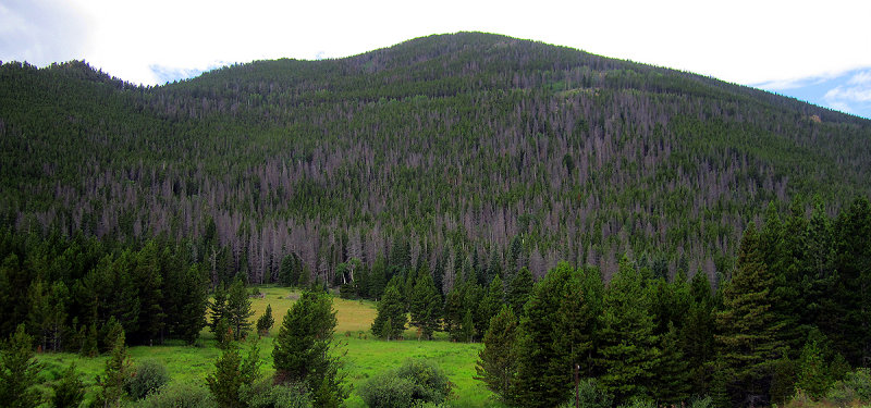 IMG_1387.jpg