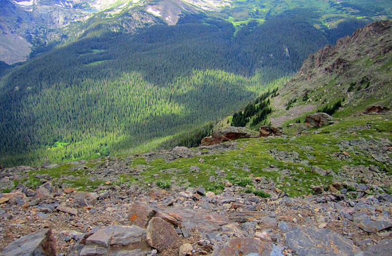 IMG_1400.jpg