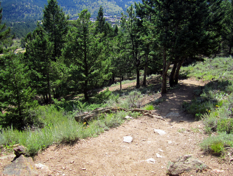 IMG_1475.jpg