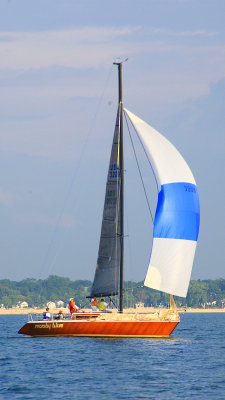 IMG_0012.jpg