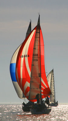 IMG_9989.jpg