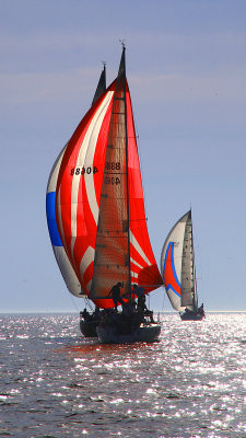 IMG_9990.jpg