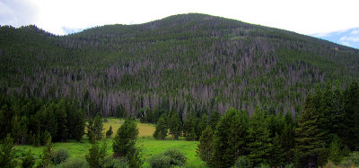 IMG_1387.jpg