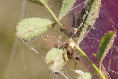 g9/50/423350/3/161091382.ozwm0AW4.jpg