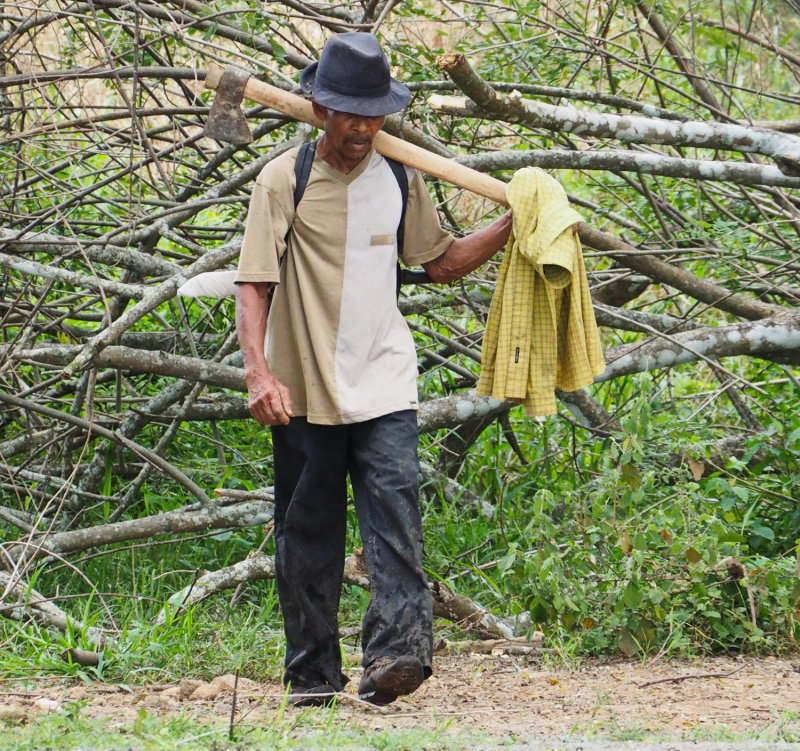 Working in the Rainforest- Panama, 2013