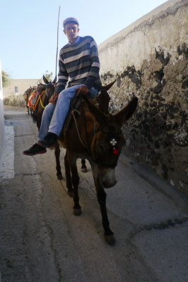 Donkey director in Fira, Santorini June 2, 2013 12