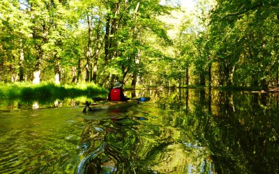 Kayak Beaver Sept 19_2013 06.jpg