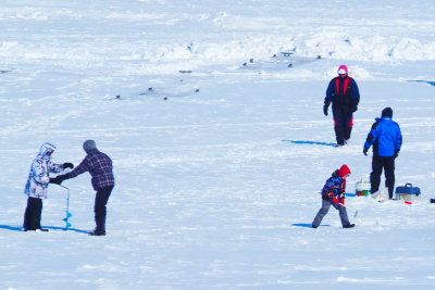 Ice fishing on Collingwood Harbour
