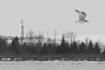 Collingwood Lighthouse - Mar 7, 2014