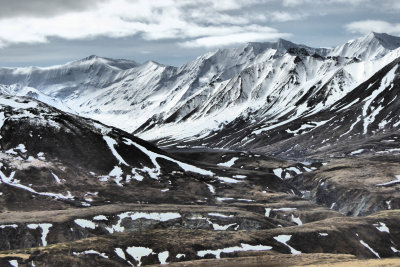 Denali National Park - Alaska 24.jpg