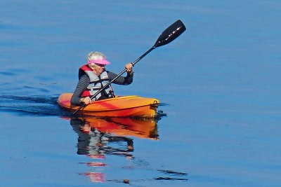 Kayaking on the harbour P1130853