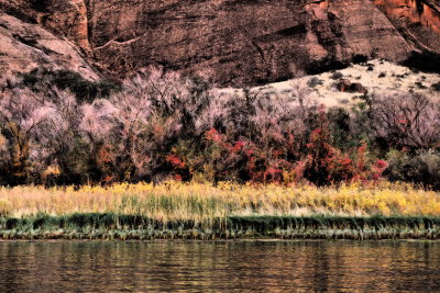 Glen Canyon 81.JPG