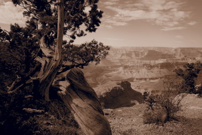 Grand Canyon 03.JPG