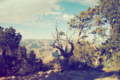 Grand Canyon 50.JPG