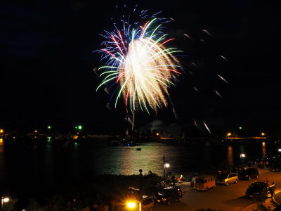 Collingwood Fireworks 2015 - 30.JPG