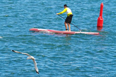 Ontario SUP Series - Collingwood Aug 1_2015 053.jpg