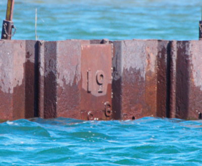 Collingwood Dry Dock Basin July 18, 2016 (3 up from 2012)