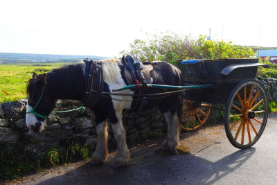 0763 Aran Island.JPG