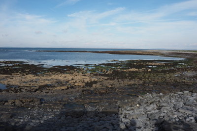 0787 Aran Island.JPG