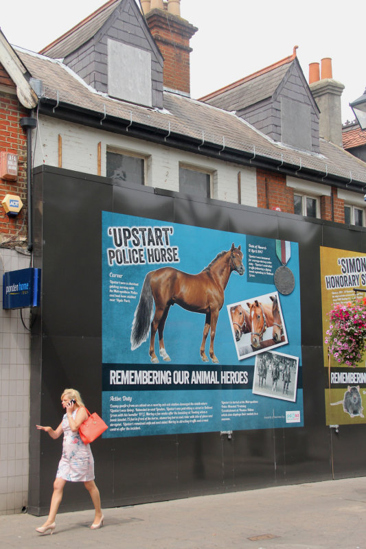183:365<br>upstart police horse