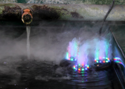 Water in a Koi fish tank in Woking