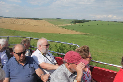 232:365wiltshire summer breeze