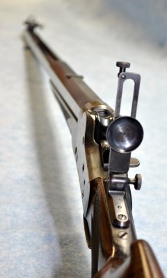 Mid-RangeTang Sight