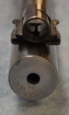 Muzzle face with Globe Sight