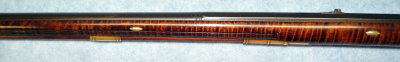 Forestock, Right Side