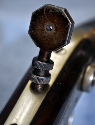 Tang Sight Detail