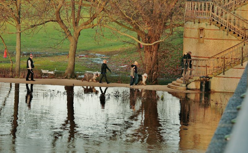 The river did not go over the edge.