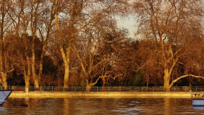 Bishops park in the setting sun.