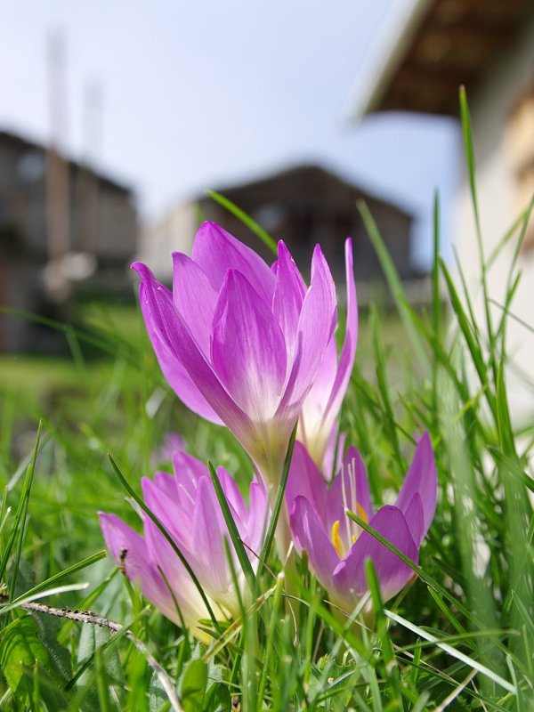 082-IMGP8149.jpg