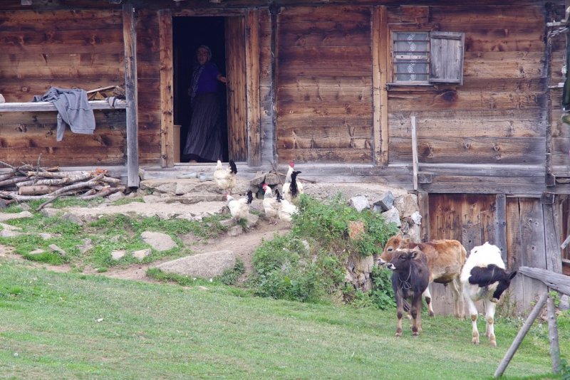 087-IMGP8243.jpg