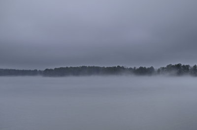 Lake Lincoln Fog